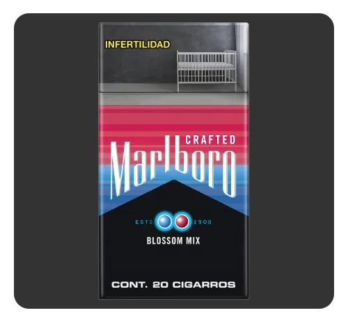 Marlboro Crafted Blossom mix 20s